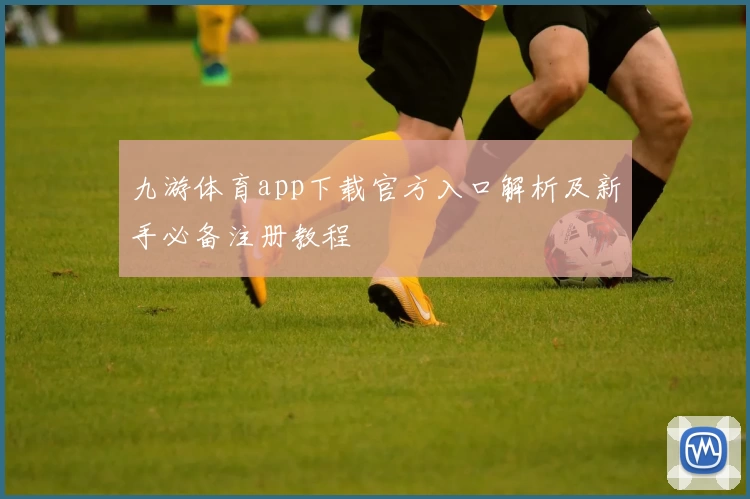 九游体育app下载官方入口解析及新手必备注册教程